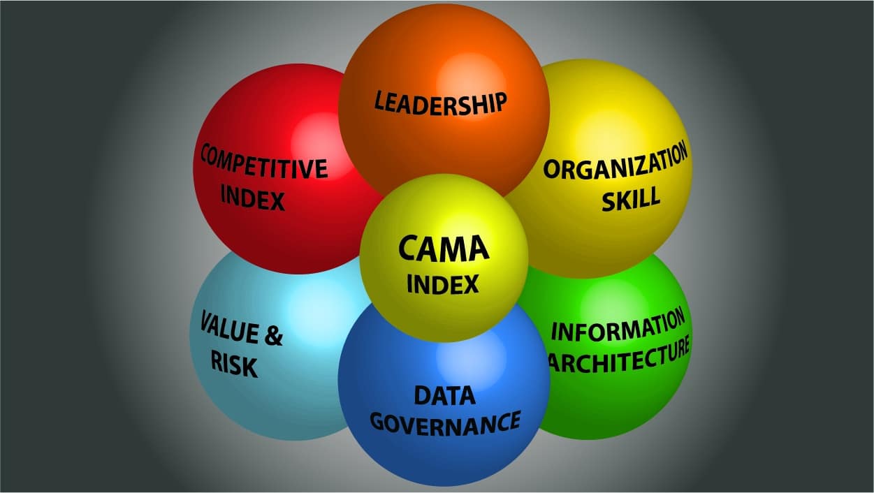 Comprehensive Analytic Maturity Assessment