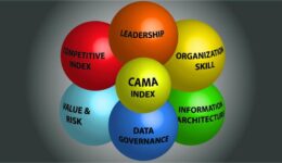 Comprehensive Analytics Maturity Assessment