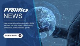 Supply Chain Diversity in Digital Transformation