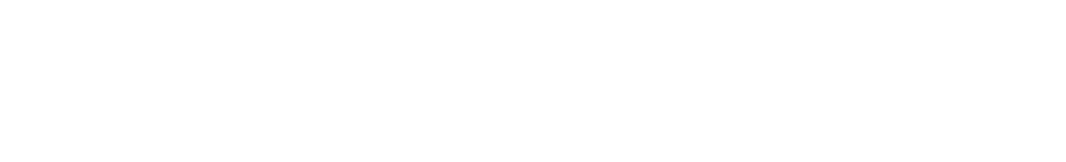 Prolifics US