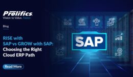 grow vs rise with sap cloud erp